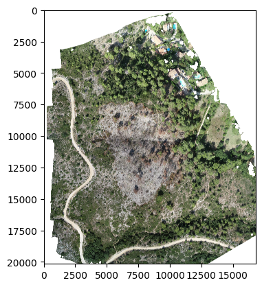 Figure 3.a