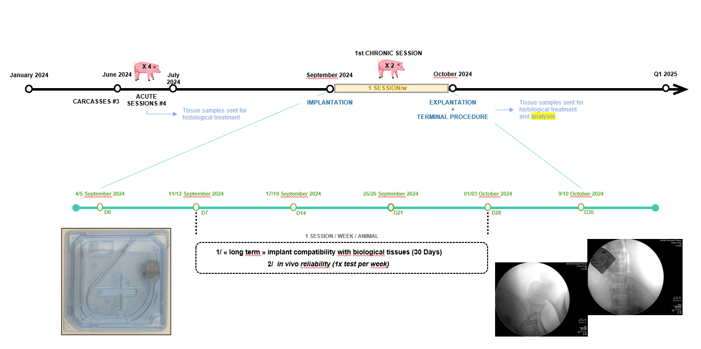 Figure 24