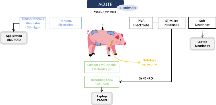 Figure 23