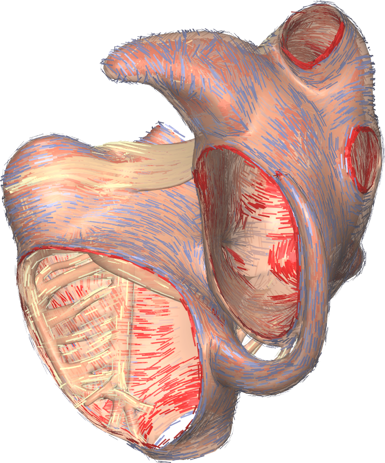 Figure 2.c